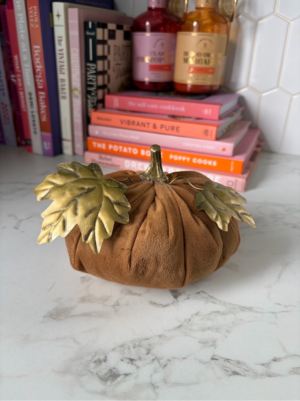 Opalhouse Velvet Pumpkin with Gold Leaf Accents - Brown and Gold